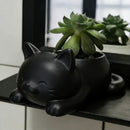 Vaso Decorativo em Formato de Gato Deitado para Suculentas